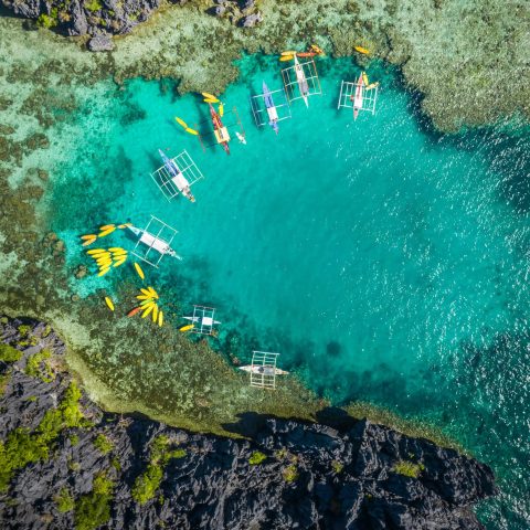 82E23F5A-55EB-4589-88BB-F4F3401E2C01 (1)